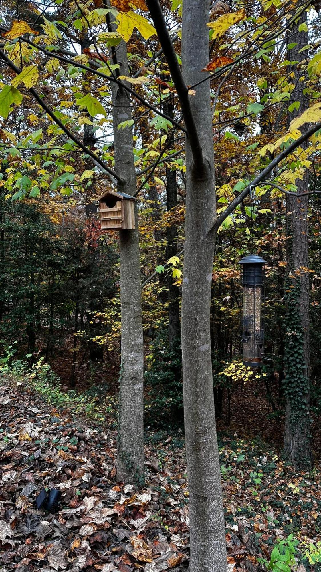 Appalachian Mountain Cabin-Updated-Private-Rafting On Ocoee River-Hiking-Waterfalls-Wifi-Pets Ok Мерфи Экстерьер фото
