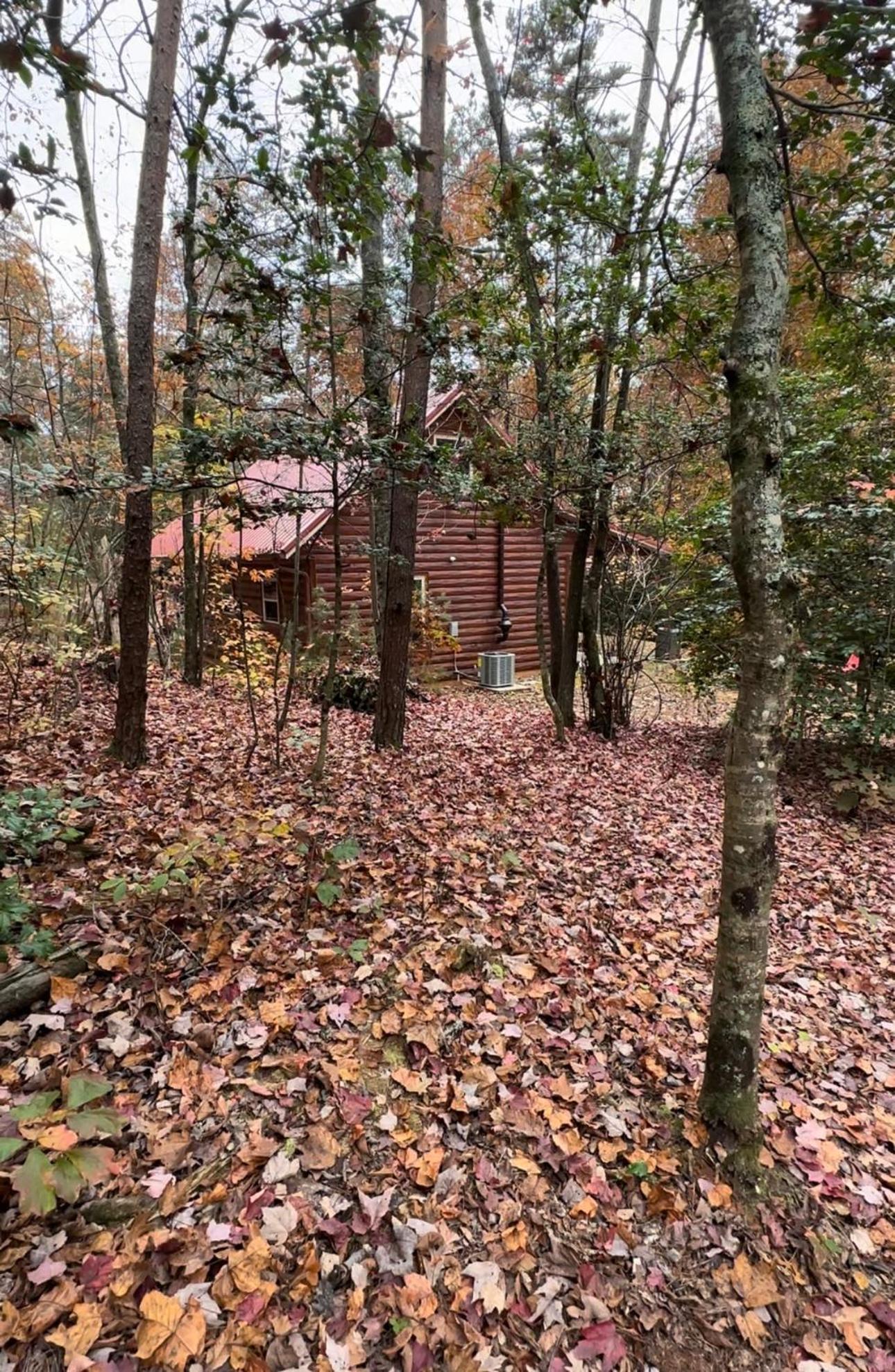 Appalachian Mountain Cabin-Updated-Private-Rafting On Ocoee River-Hiking-Waterfalls-Wifi-Pets Ok Мерфи Экстерьер фото