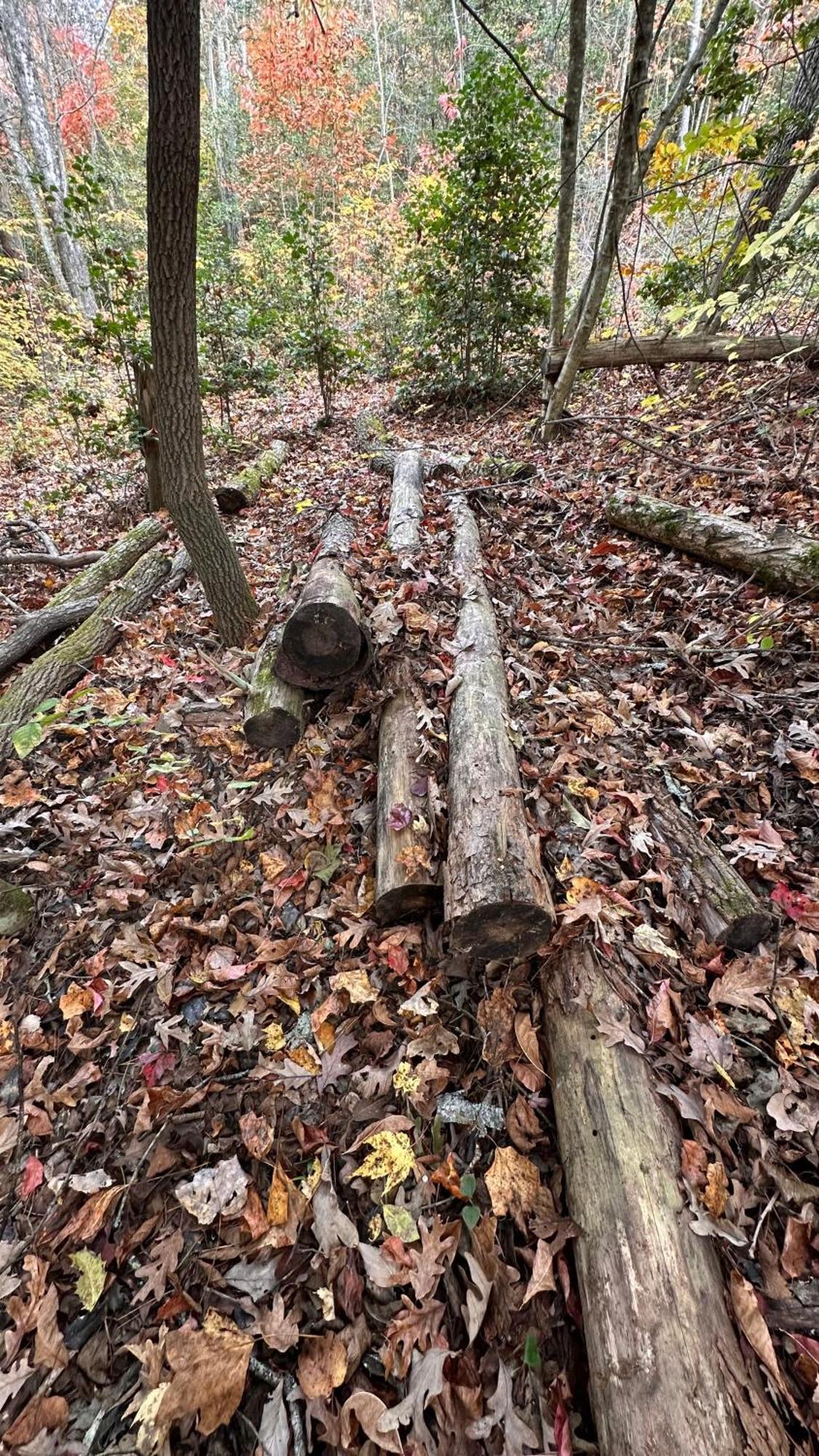 Appalachian Mountain Cabin-Updated-Private-Rafting On Ocoee River-Hiking-Waterfalls-Wifi-Pets Ok Мерфи Экстерьер фото