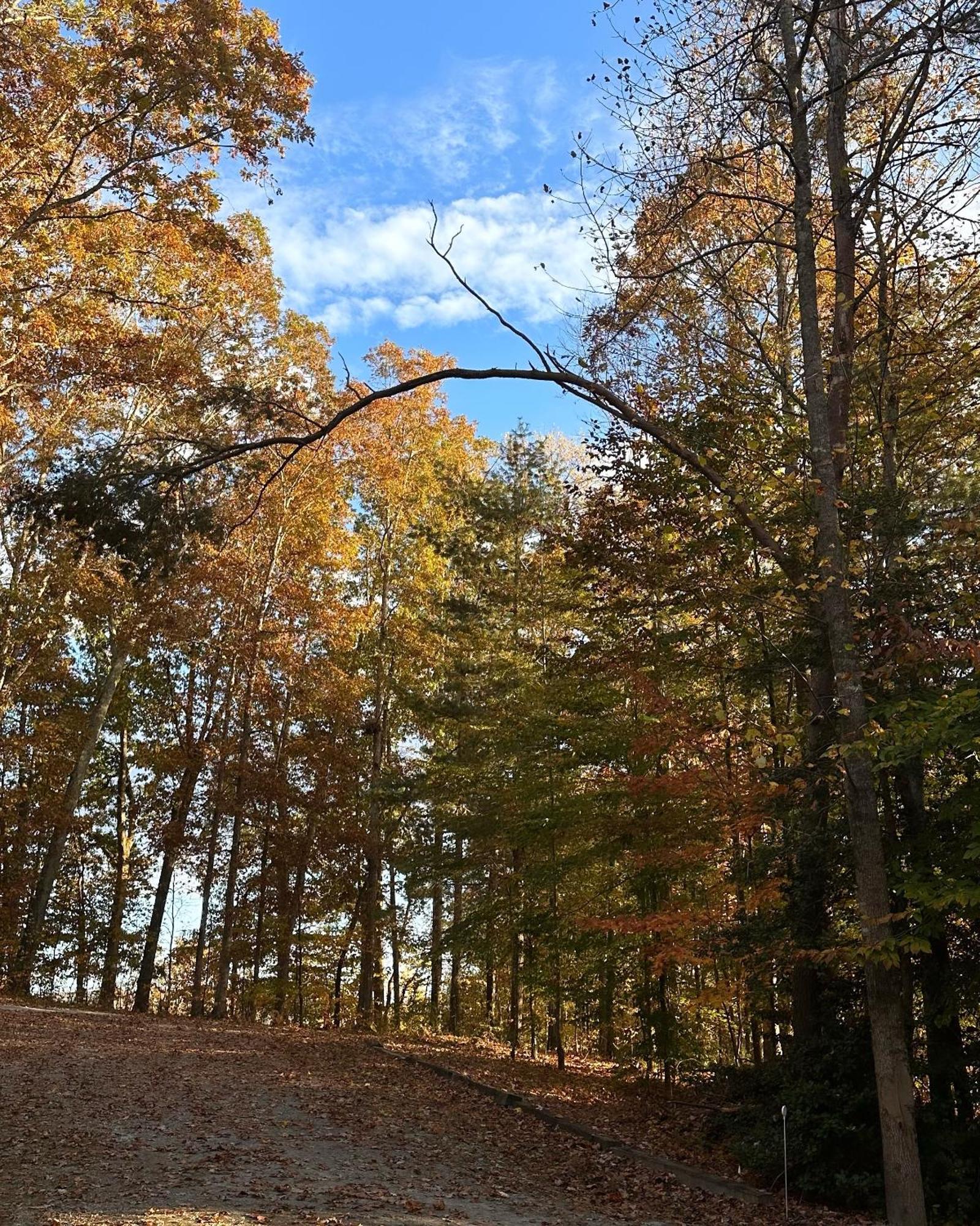 Appalachian Mountain Cabin-Updated-Private-Rafting On Ocoee River-Hiking-Waterfalls-Wifi-Pets Ok Мерфи Экстерьер фото