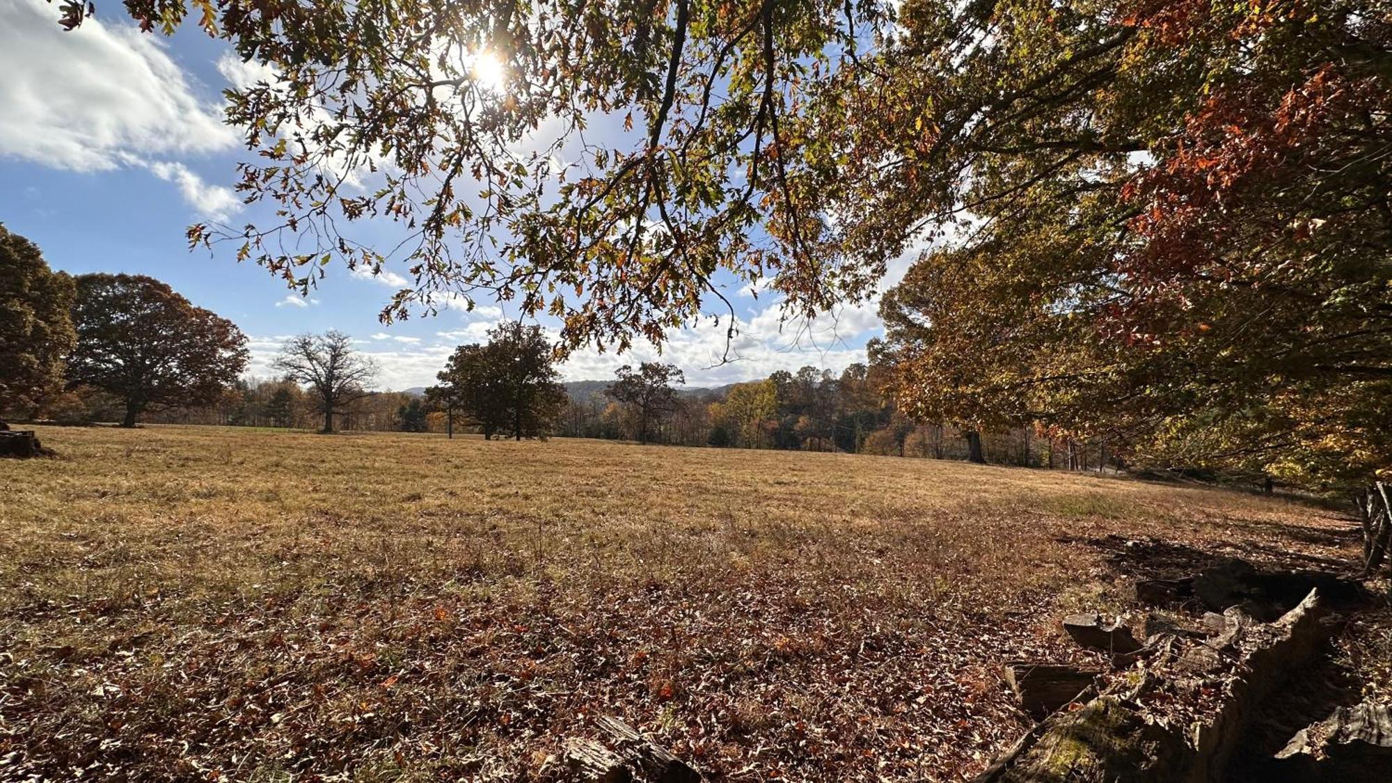 Appalachian Mountain Cabin-Updated-Private-Rafting On Ocoee River-Hiking-Waterfalls-Wifi-Pets Ok Мерфи Экстерьер фото